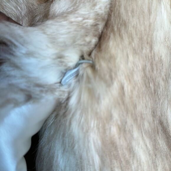 Vintage Rabbit Fur Jacket Made in Hong Kong L - Picture 7 of 11